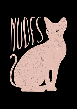 Nudes Sphynx Cat