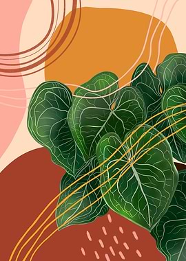 Anthurium Magnificum