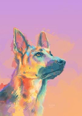 German Shepherd Portrait