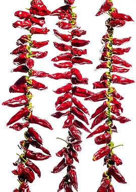 Espelette peppers