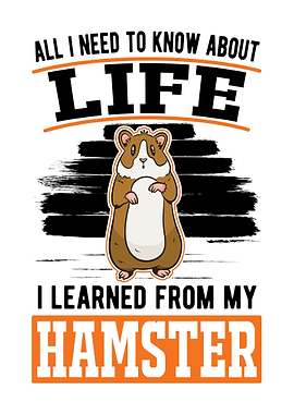 Hamster Wheel Golden Hamst