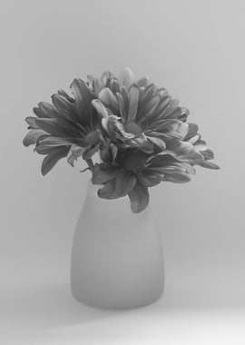 daisies vase gray