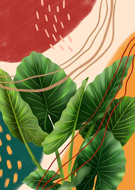 Philodendron Glorium