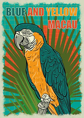 Blue and yellow macau