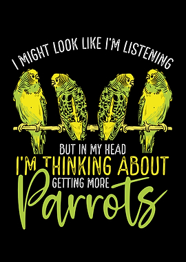 I need more budgerigar par