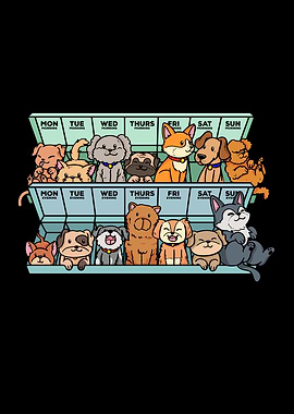 daily pill organizer dogs