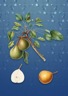 Pear on Bahama Blue