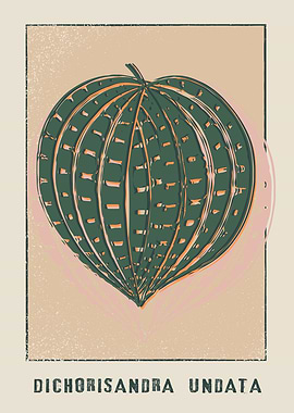 Seersucker Plant Poster