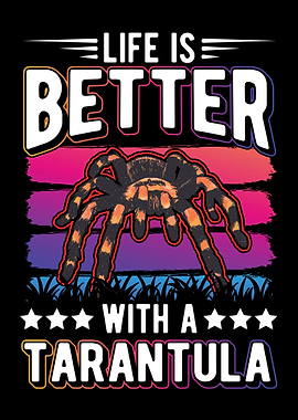 Tarantula Spider