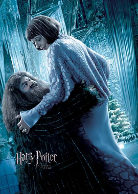 Hagrid and Madame Maxime