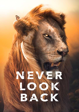 Never Look Back Motivation