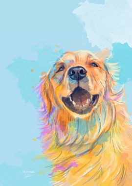 Golden Retriever Dog