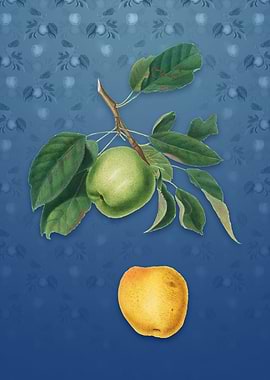 Apple on Bahama Blue