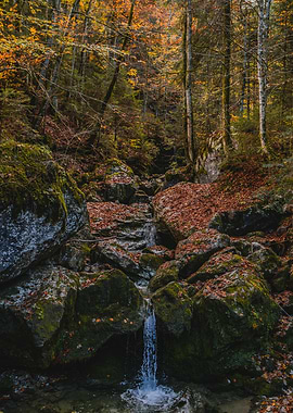 Autumn forest waterfall