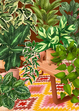 Cozy Plant Collection