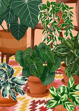 House Plants Collection 30