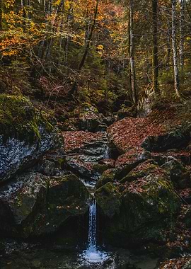 Autumn forest waterfall