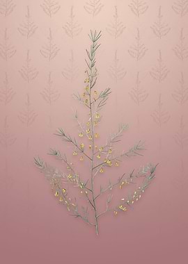 Vintage Sea Asparagus