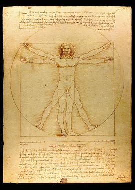 Vitruvian Man NO TEXT