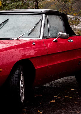 Alfa Romeo Spider