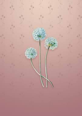 Vintage Blue Leek Flower