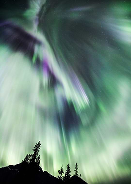 Northern lights in Jasper