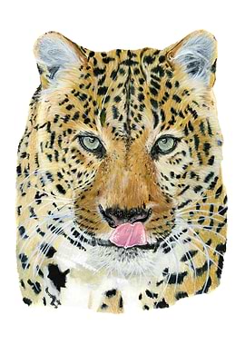 Leopard watercolor