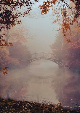 Autumn travel, misty lake