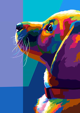 Animals Dog Pop Art