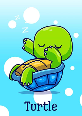 Turtle