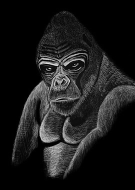 The Gorilla
