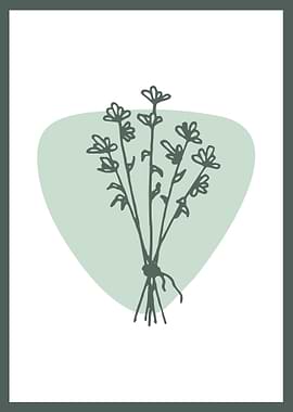 Hand Drawn Botanical