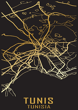 Tunis Tunisia City Map