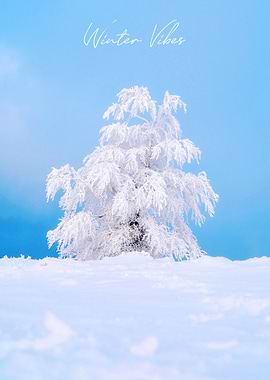 Winter Vibes