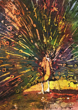 Peacock Artwork Painting