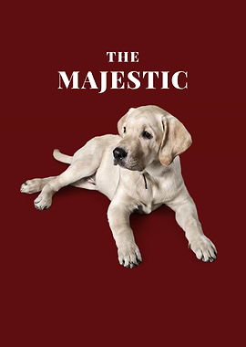 The Majestic Labrador