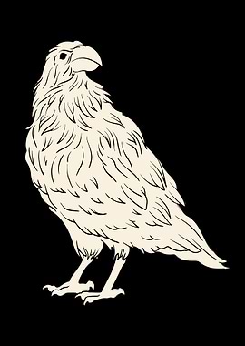 White Raven