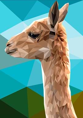 Alpaca