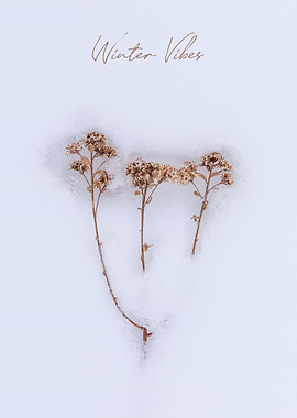 Winter Vibes