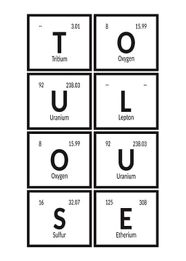 Elements of Toulouse City