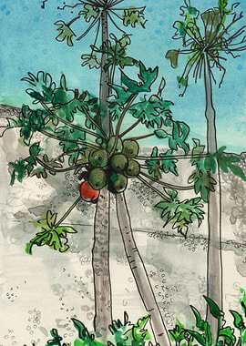 Papaya Tree Sketch Drawing