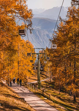 Autumn Ropeway