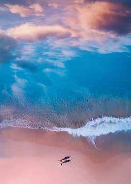 The beach and sky merge