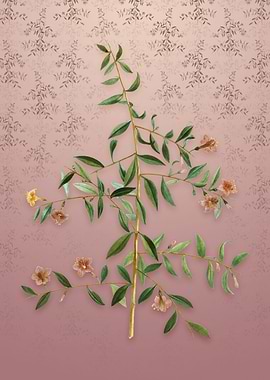 Goji Berry on Dusty Pink