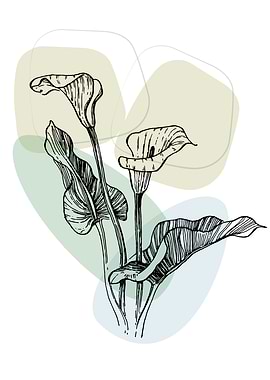 Minimalist Calla and lily