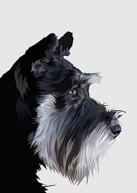 Schnauzer dog in vector