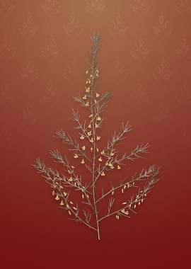 Vintage Sea Asparagus