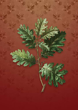 Vintage Hungarian Oak