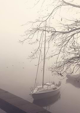 Misty autumn travel, lake