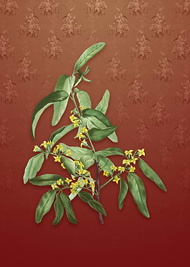 Vintage Russian Olive